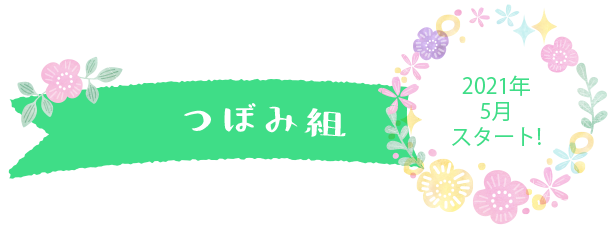 未就園児クラス つぼみ組 2歳児を対象とした幼稚園のプレ保育